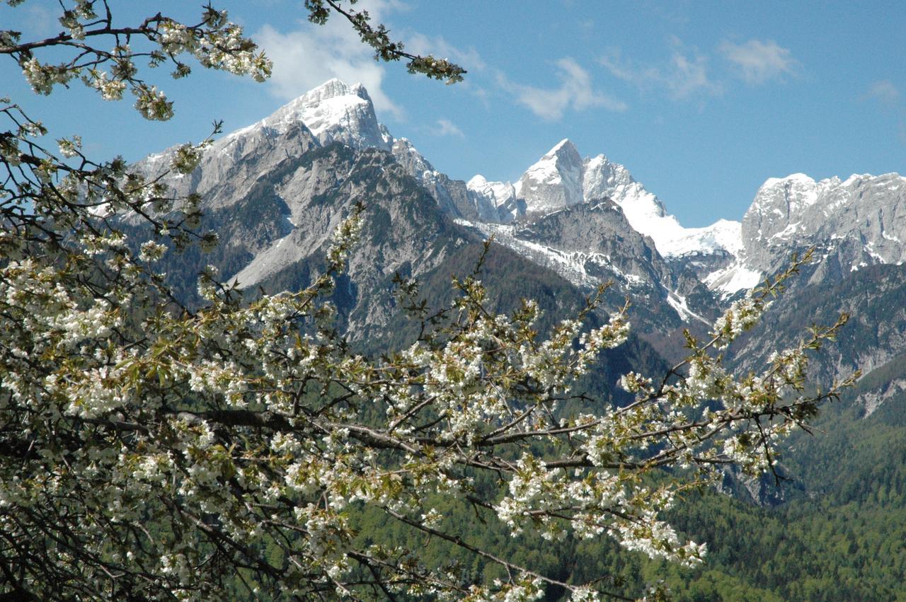 House Neza * Kranjska Gora