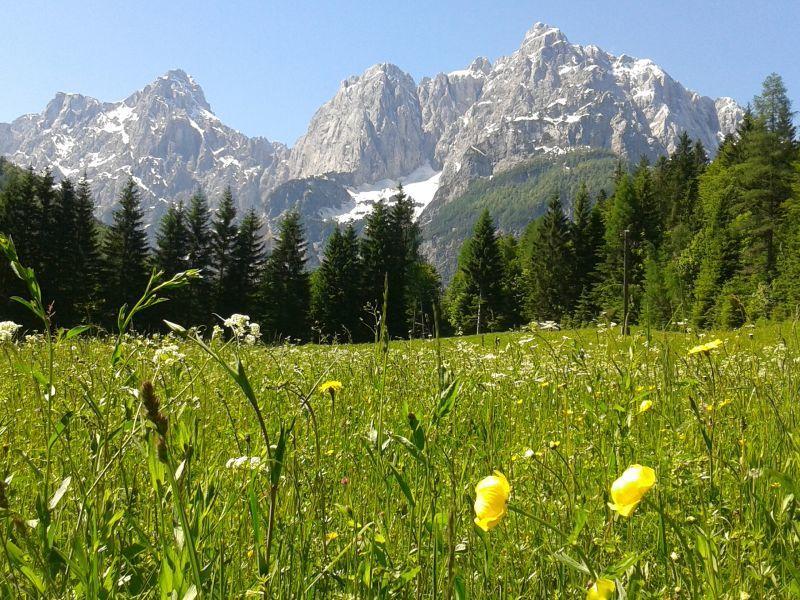 Apartment House Neza Kranjska Gora